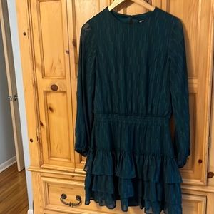 Express Holiday Dress